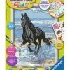 Ravensburger Malen Nach Zahlen "Pferd Am Strand", Inkl. Stickern BLAU/ SCHWARZ -Spielzeug für Kinder Verkäufe unnamed file 1185