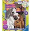 Ravensburger Malen Nach Zahlen "Pferde Im Sonnenuntergang", Glitzer-Effekt Mehrfarbig 2 Ravensburger Malen Nach Zahlen "Pferde Im Sonnenuntergang", Glitzer-Effekt Mehrfarbig -Spielzeug für Kinder Verkäufe unnamed file 1187